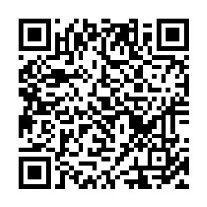 就是利用肢体形状有效地减少了风与空气产生的阻力二维码生成