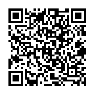 就是剩下的这两个人身上的也都是挂着不轻的伤势二维码生成