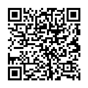 就是剩下的这十一个圣级九层和四个圣级八层也十分不好过二维码生成