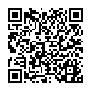 就是十只乱飞起来的麻雀也是别想逃出这天罗地网二维码生成