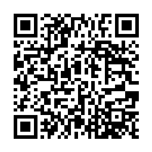 就是卷轴上悬浮着的蓝色名字也是那种她不认识的文字二维码生成