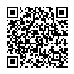 就是吃遍世间所有苦头也要求得默巫答应他们救活虫王卵二维码生成