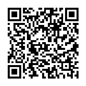 就是因为他们只有修罗路主人留下的最强神明法旨二维码生成