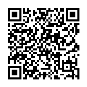 就是因为他在最初的对拼中就发现矮个武霸的力量很强大二维码生成