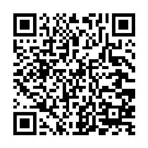 就是因为他感受到了秦方体内释放出来的巨量的元气二维码生成