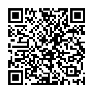 就是因为他知道自己的一举一动肯定都会传到蛤蟆侠那里二维码生成