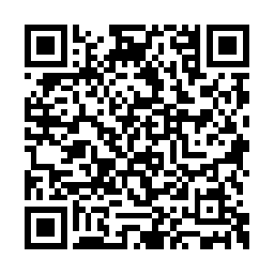 就是因为他还梦想着有一天可以活着离开魔鬼岛二维码生成