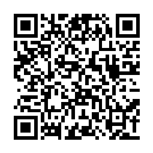 就是因为你的视频直播被弄到了街头大屏幕上面二维码生成