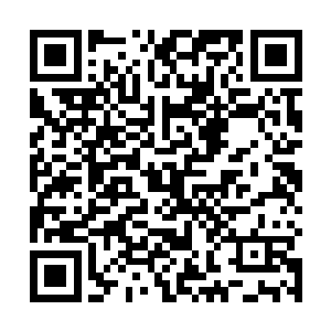 就是因为坑了几个中国人被举报才被迫转移到这里来的二维码生成