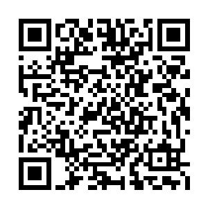 就是因为天色黑掉的时候就是这怪物出动的时候二维码生成