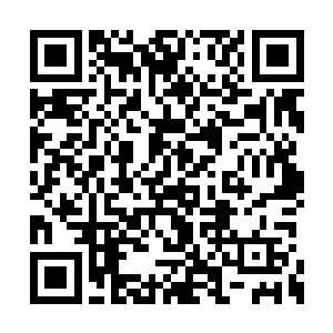 就是因为它其实是八十一把天刀集合起来的威力二维码生成