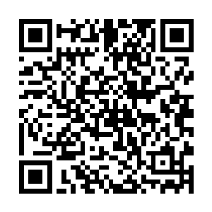 就是因为岳父大人想要将自己的妻女宠爱呵护一辈子二维码生成