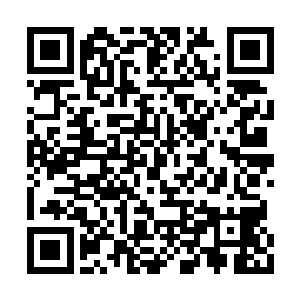 就是因为玄灵和星凡两人都朝着这马车迎了过去二维码生成