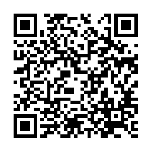 就是因为这个我想你还没必要屁颠屁颠的跑过来吧二维码生成