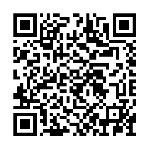 就是在闻道谷中第一个登仙的外人――公孙有约二维码生成