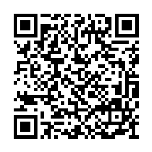 就是对国家机关领导人员及其组成人员进行选举二维码生成