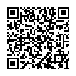 就是将乾坤袋以特殊的手法嵌于血河界的界壁内二维码生成