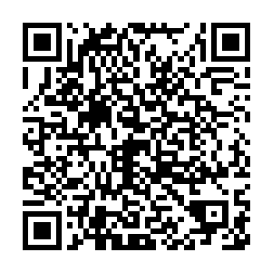 就是康恩这位刀术大宗师为马文这样的只会杀人招的强者创造的刀术二维码生成