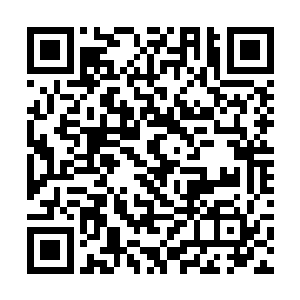 就是当年那个人渣那么做其实是为了保护自己和妈妈二维码生成