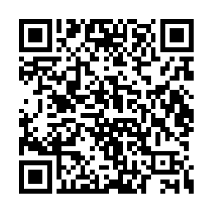 就是怕林烽记恨他们刚才想要独自先逃命的事情二维码生成