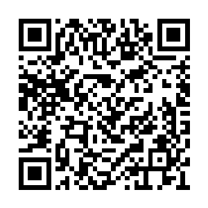 就是想给谢子君和宝镜创造更多碰面相处的机会二维码生成