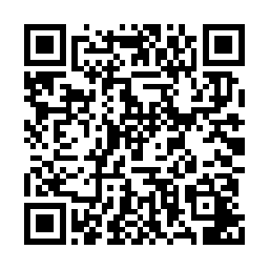 就是想要兵不血刃地先让修罗家族付出一些代价二维码生成