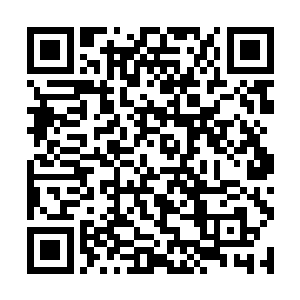 就是想让冥冥中主宰他重生的未知存在看到他的努力二维码生成