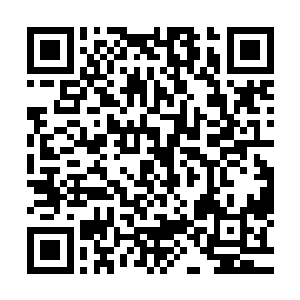 就是我们把洪大力相关的一切资料全部都主动提供给最高干部二维码生成