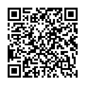 就是我们自己在天狼提出出击之前也没有想到主动出击啊二维码生成