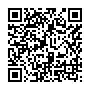 就是所有的观众都不认为许紫烟还有活下来的可能二维码生成