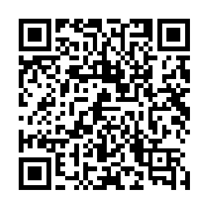 就是族里那些不参与打猎的老猎手们那身体都是非常精干的二维码生成