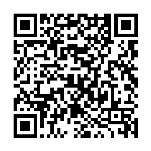 就是族长或者圣女来了也不能说想带走人就随意带走人二维码生成
