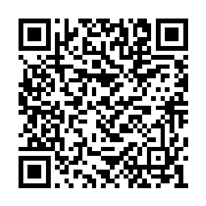 就是明确地要让钟校长开除林烽这个害群之马了二维码生成