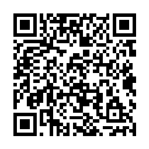 就是来自苍茫大陆的这些修士也以惊人的速度成长着二维码生成