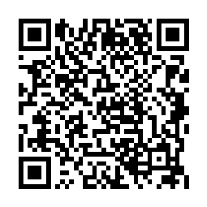 就是林渡苦三人也没有想到火舞会说出这番话来二维码生成