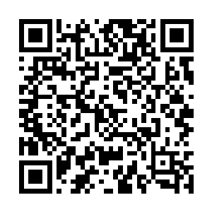 就是每一支碳基智慧生命至关重要的超级计算工具二维码生成