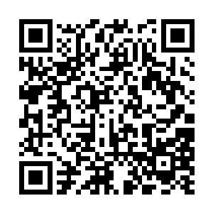 就是爸妈觉得跟大姑之间的情面比小宝的命还重要二维码生成