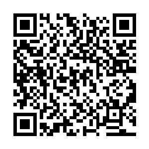 就是现在龙皇殿等候的那些人也暂且不要告诉他们二维码生成