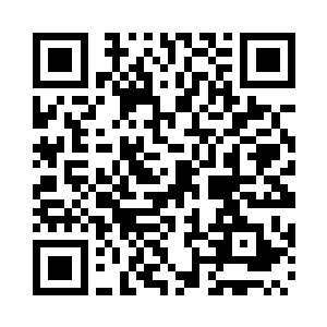 就是用锁老虎的东西锁住了一只猫一样二维码生成