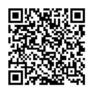 就是盘古文明和盘古宇宙中一切碳基智慧生命的极限二维码生成