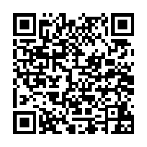 就是稍微心思不纯的仙人也没法在此法器面前做法二维码生成