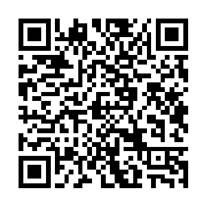 就是等于同意了曾毅在南直隶接下来要做的事情了二维码生成