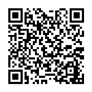 就是算准了自己想要让玄学会赢得堂堂正正的想法二维码生成