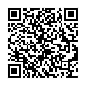 就是装醉倒在轮椅上的严承悦这时候都带了几分痴迷二维码生成