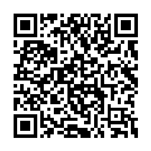 就是说的世人无论你怎么挣扎都逃不过阴阳循环二维码生成