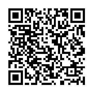 就是那个败在非凡集团攻击之下的红河集团老板吗二维码生成