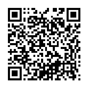 就是那些逆贼后代都以为这个天下的历史就只有几百年而已二维码生成