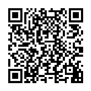 就是部落的猎手们也个个脸上流露出了惊恐的神色二维码生成