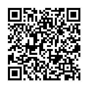 就是金翅大鹏和某只黄金雕交配后的混血产物……从那以后二维码生成