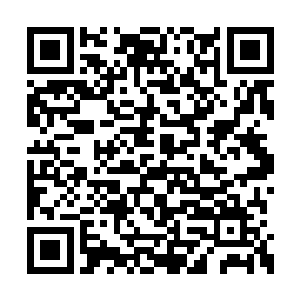 就是阎罗府阎行主动挑起了他们的一些异样心思二维码生成